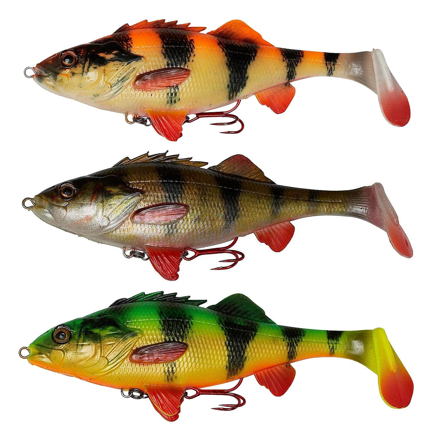 4D Perch Shad