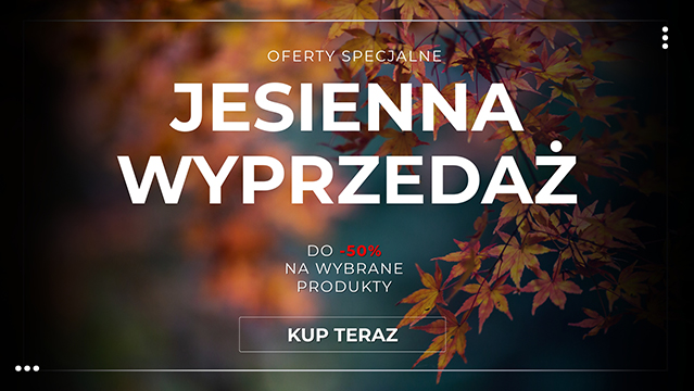 Jesienna wyprzedaż