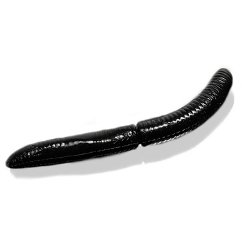 Libra Lures Robak Fatty D'Worm 65 Cheese  040 BLACK