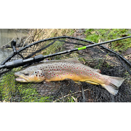 Wędka Daiwa Prorex X Sensor Spin 230cm 2-10g 11284-231