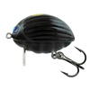 BLACK BUG