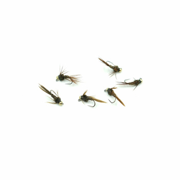 Nimfa Tungsten WP Pheasant tail natural hak#16BL