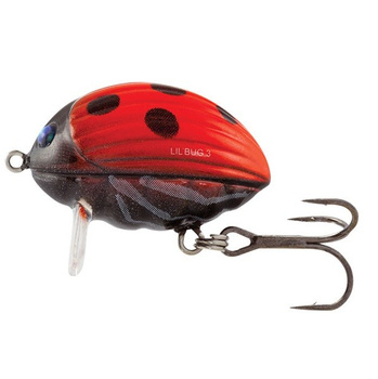 Wobler Salmo Lil' Bug pływający 3cm 4.3g LADYBIRD QBG002