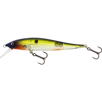 Westin Jerkbite SR Jerkbait 9cm 8g Suspending HOT SHAD P070-703-009