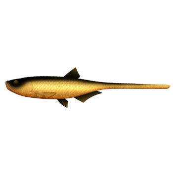 Libra Lures BLEAK SLUG TAIL 8,2'' 21cm 30g No Scent 009 GOLD