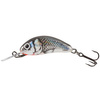 HOLOGRAPHIC GREY SHINER
