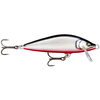 GLIDED RED BELLY