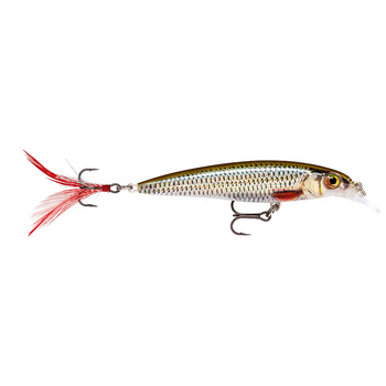 Rapala X-Rap XR10 10cm 13g Suspending LIVE ROACH