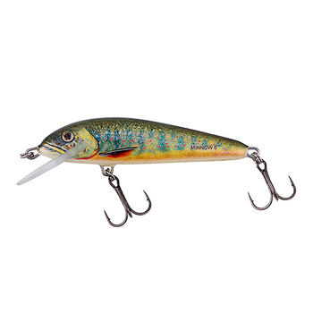 Wobler Salmo Minnow Sinking 6cm 6g LAKE CHARR QMW172