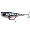 PINK BELLY SARDINE PHP