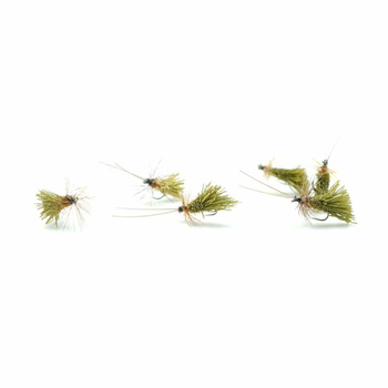 Sucha Mucha WP OLIVE SEDGE #10 BL SM00021