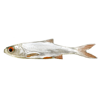 Urbanek Płoć 9cm 2,5g DS 489 - 4szt. URB-489