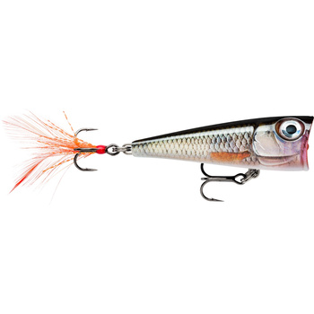 Rapala X-Light Pop 4cm 4,5g LIVE ROACH