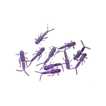 Water King Widelnica 2,5cm 0,2g Kolor #33 10szt.