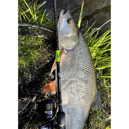 Wędka Daiwa Prorex X Sensor Spin 230cm 2-10g 11284-231