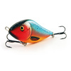 ORANGE PARROT