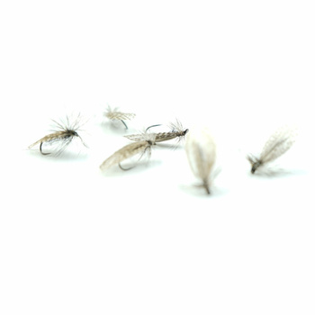 Sucha Mucha WP WINGS BLACK SEDGE #10 BL SM00017