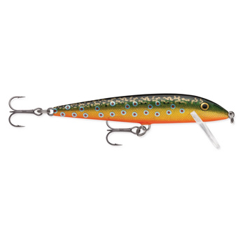 Rapala CountDown 11cm 16g CD11 BROOK TROUT