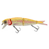 GLODEN ALBINO