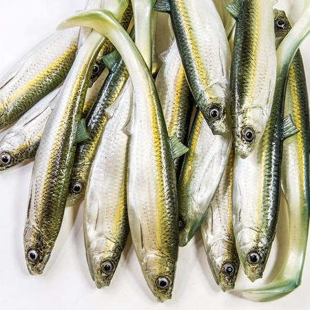 Angry Lures Bleak 17cm 25g Ripper WGY