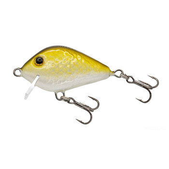 Wobler Bonito Krąpik Floating 3,5cm 3g Kolor 09
