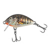 HOLO STICKLEBACK