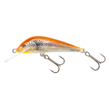 Wobler Bonito Troć  Floating 6,5cm 5,5g Kolor 31