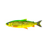 FIRE WHITEFISH