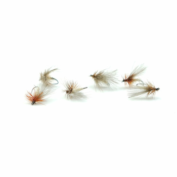 Sucha Mucha WP SEDGE TAN #16 BL SM00008