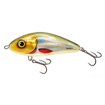 Salmo Fatso 12cm 59g Floating SILVER HALO