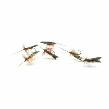 Sucha Mucha WP DARK BROWN SEDGE #16 BL