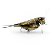 Wobler Imago Lures HOPPER 3.5cm 2.2g LBDB