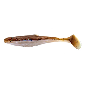 Realistic Shad Kiełb 10cm 9g Kolor 031