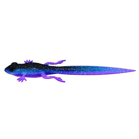 Libra Lures FROG TADPOLE TAIL 8,2'' 21cm 35g No Scent 123 COSMOS