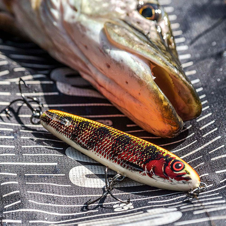 Wobler Salmo Sweeper 12cm 34g Sinking HOLO RED PERCH QSE055