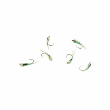 Nimfa Tungsten WP HOLO GREEN BROWN TAG hak#12BL