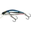 RED TAIL SHINER