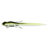 031 OLIVE WHITEFISH