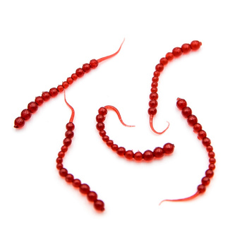 Bratko Baits Kawior 5cm 1g T42 5szt