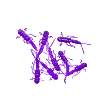 Water King Widelnica 2,5cm 0,2g Kolor #30 10szt.