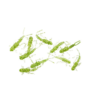 Water King Widelnica 2,5cm 0,2g Kolor #17 10szt.