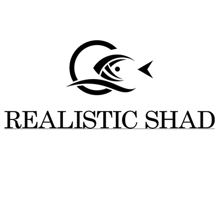 Realistic Shad Płoć 12cm 18,5g Kolor 060