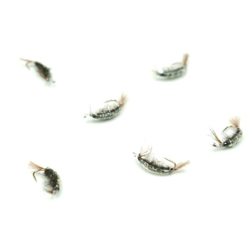 Nimfa Scud Wędkarska Polska #12BL DARK BROWN