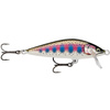 GLIDED RAINBOW TROUT