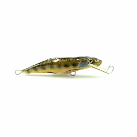 Wobler Kiełb Kornel Słaby DR 5.5cm 4.5g ZŁOTY