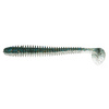 431T HASU (SILVER SHINER)