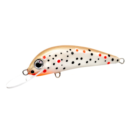 Wobler Trociowy Salmon Sambor 6,5cm 6g GOLD MINNOW