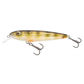 Wobler Dzierzba Woblerski 8cm 7g KL