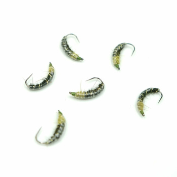 Nimfa Czech Nymph WP Olive/Chartreuse hak #12