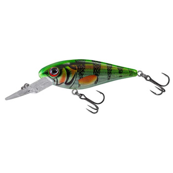 Salmo RATTLIN’ EXECUTOR SDR 7cm 8g Floating CLEAR HOT PERCH QRZ060